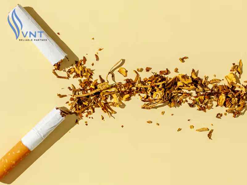Một điếu thuốc lá chiếm 1-3mg chất Nicotin