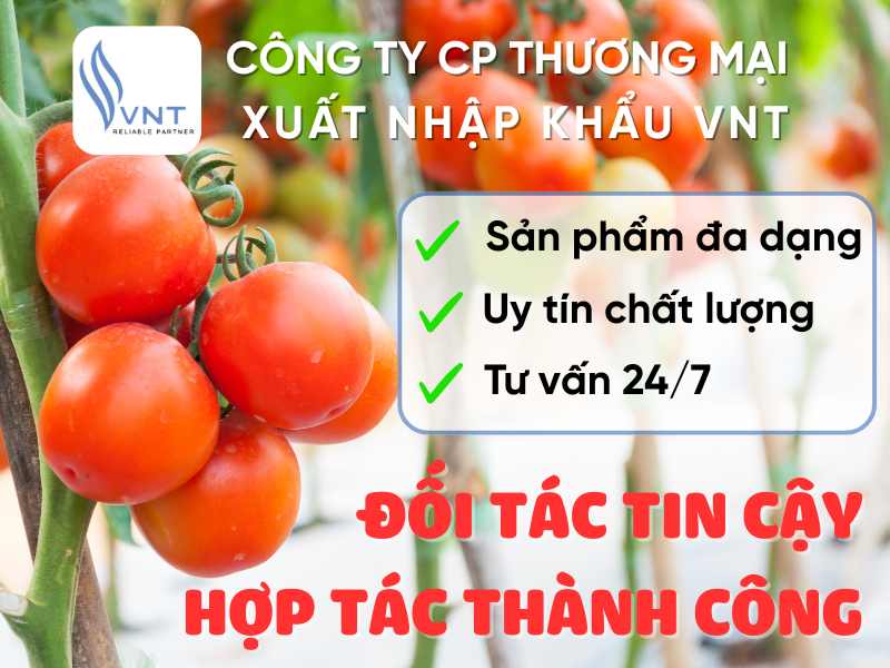 Hóa chất VNT chuyên phân phối các loại phân bón, hóa chất