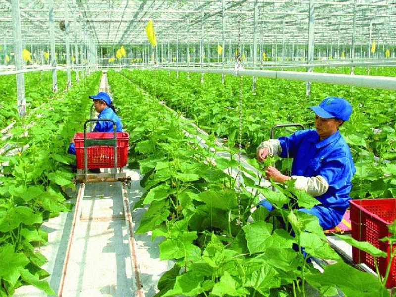 Hoạt động kinh doanh và phát triển