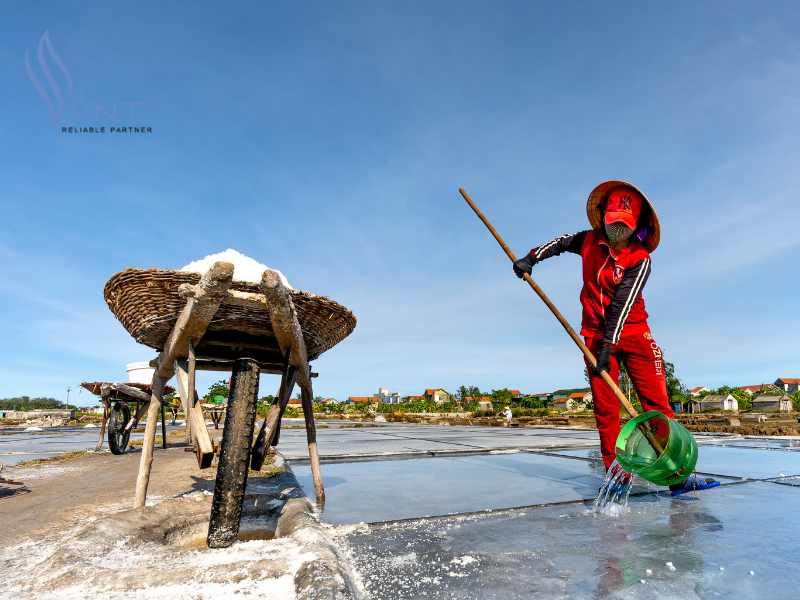 Khai thác muối Natri Clorua như nào?