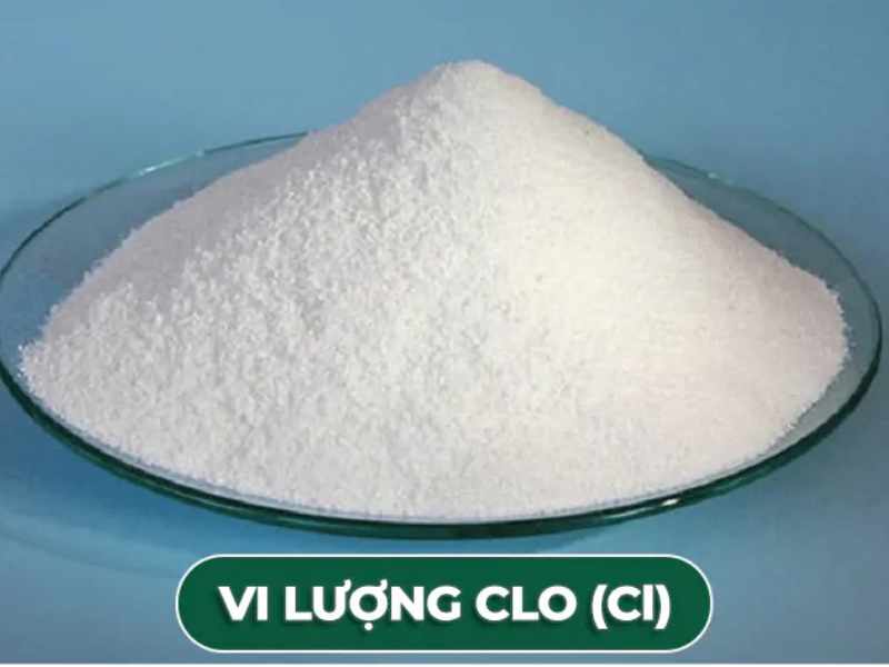 Vi lượng Clo (Cl)