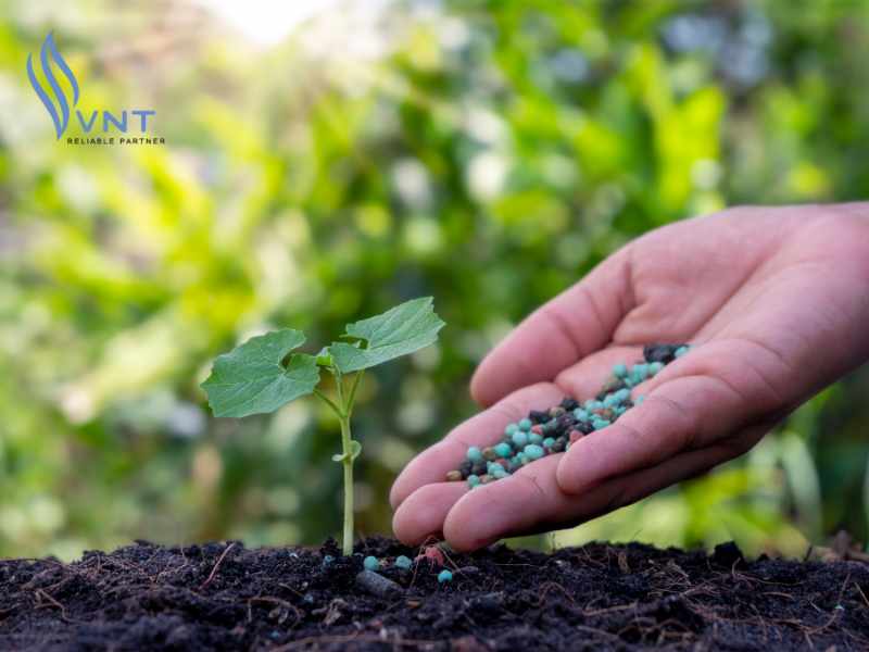 Phân bón vi sinh chuyển hóa và phân giải lân