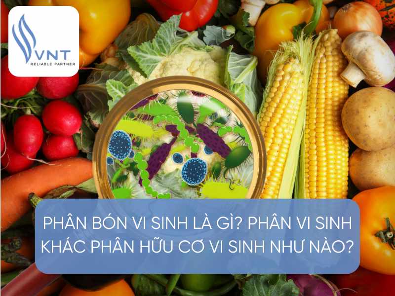 Phân bón vi sinh là gì?