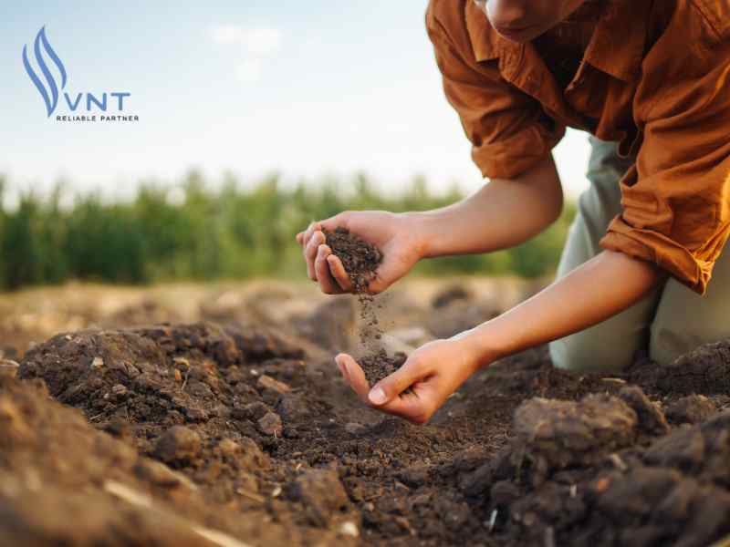 Cải thiện tính chất của đất