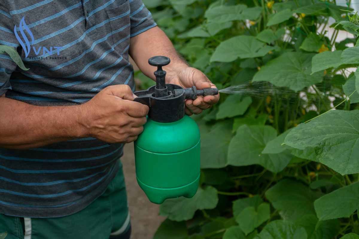 Khi nào cần sử dụng phân bón lá