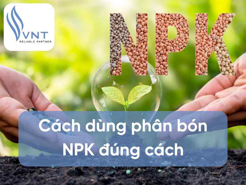 How to Use NPK Fertilizer Effectively