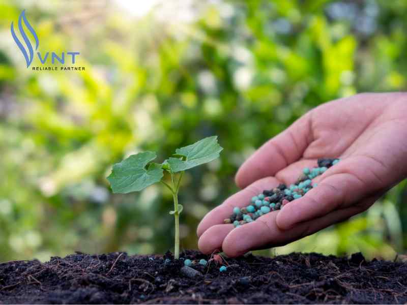 How to Use NPK Fertilizer for Basal Application