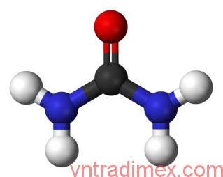 Hình ảnh cấu trúc phân tử của Urea (Nguồn wiki)
