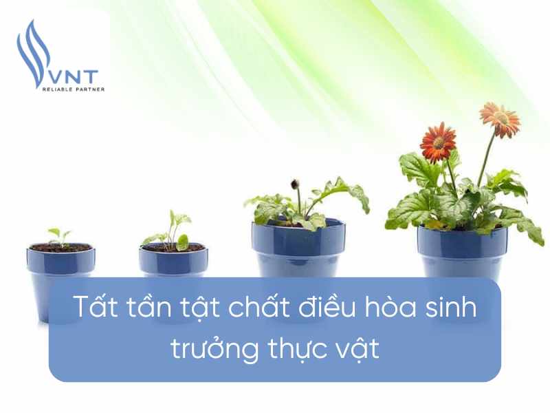 Learn about plant growth regulators