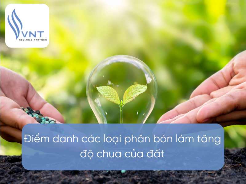 List the fertilizers that increase the acidity of the soil