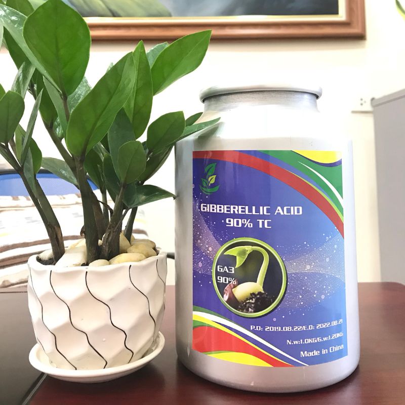 GIBBERELLIC ACID 90% – GA3 CHẤT LƯỢNG CAO CẤP